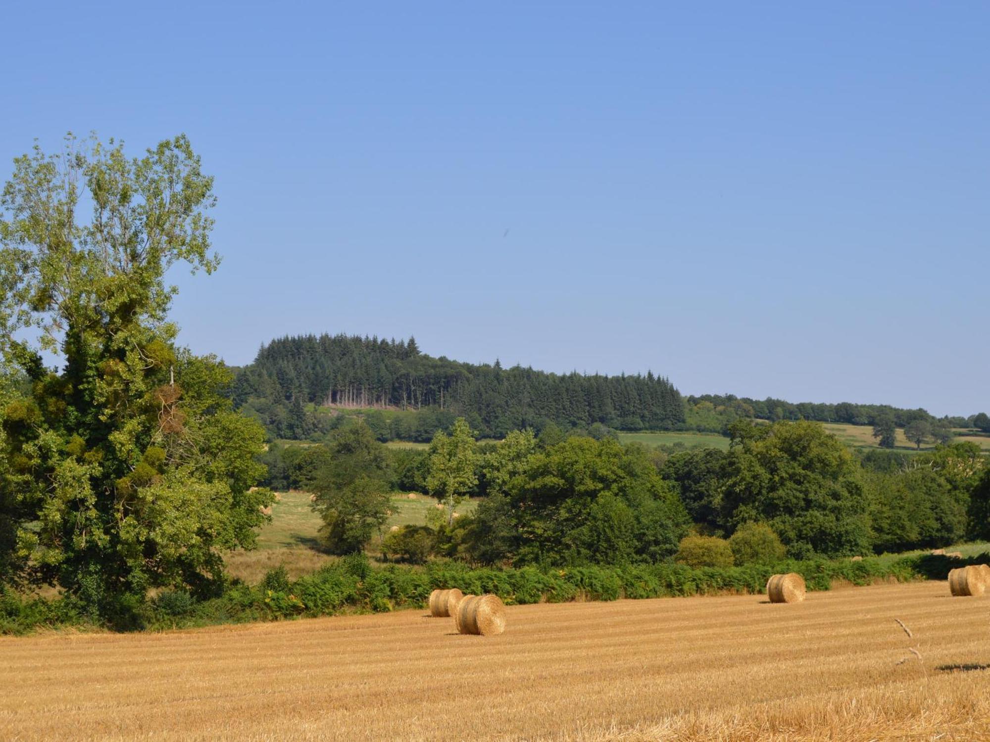 Grande Ferme Renovee Avec Jardin Et Loisirs A Proximite - Fr-1-591-155 Villa Pouligny-Notre-Dame Bagian luar foto